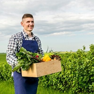 Protecting Crops With Natural  Techniques Instead Of Pesticides