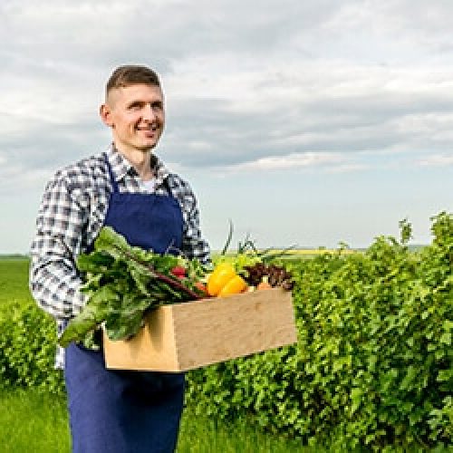 Protecting Crops With Natural  Techniques Instead Of Pesticides